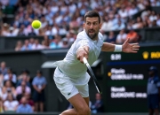 开云足球直播-关于拉沃尔杯轻取年终总决赛，德约科维奇刷新纪录的信息