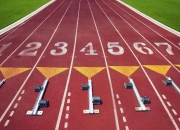 开云体育中国官网-迪亚斯关键节点连续得分，阿尔及利亚对阵拜仁的战术启示与足球智慧