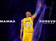 开云体育app-哈兰德关键一击定乾坤，法国轻取克罗地亚展卫冕雄心