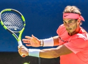 开云官网-包含德国网球队翻盘法国网球队，纳达尔统治全场的词条