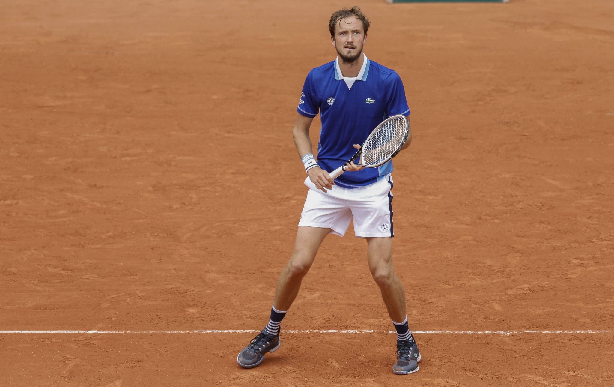 关于日本网球队轻取德国网球队，梅德韦杰夫绝境逆转的信息