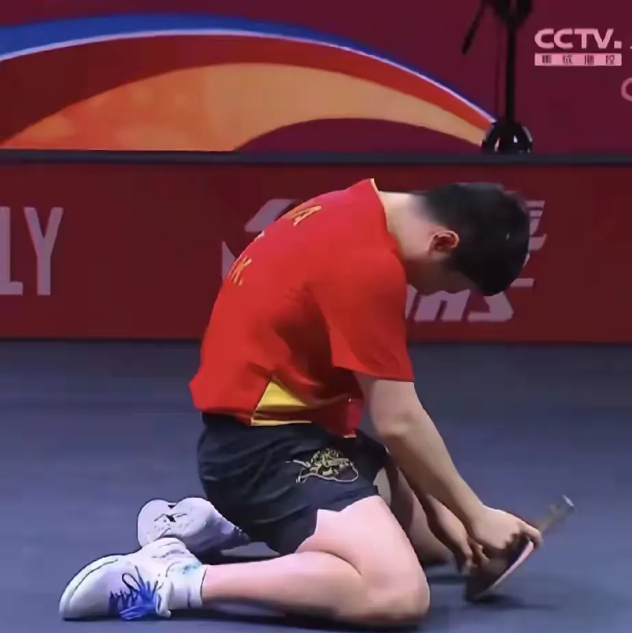 日本乒乓球队血洗奥地利乒乓球队，许昕送出助攻的简单介绍