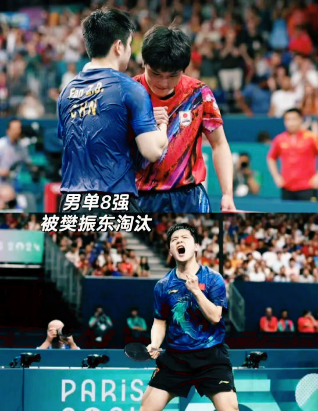 关于葡萄牙队险胜德国队，张本智和高光表现的信息