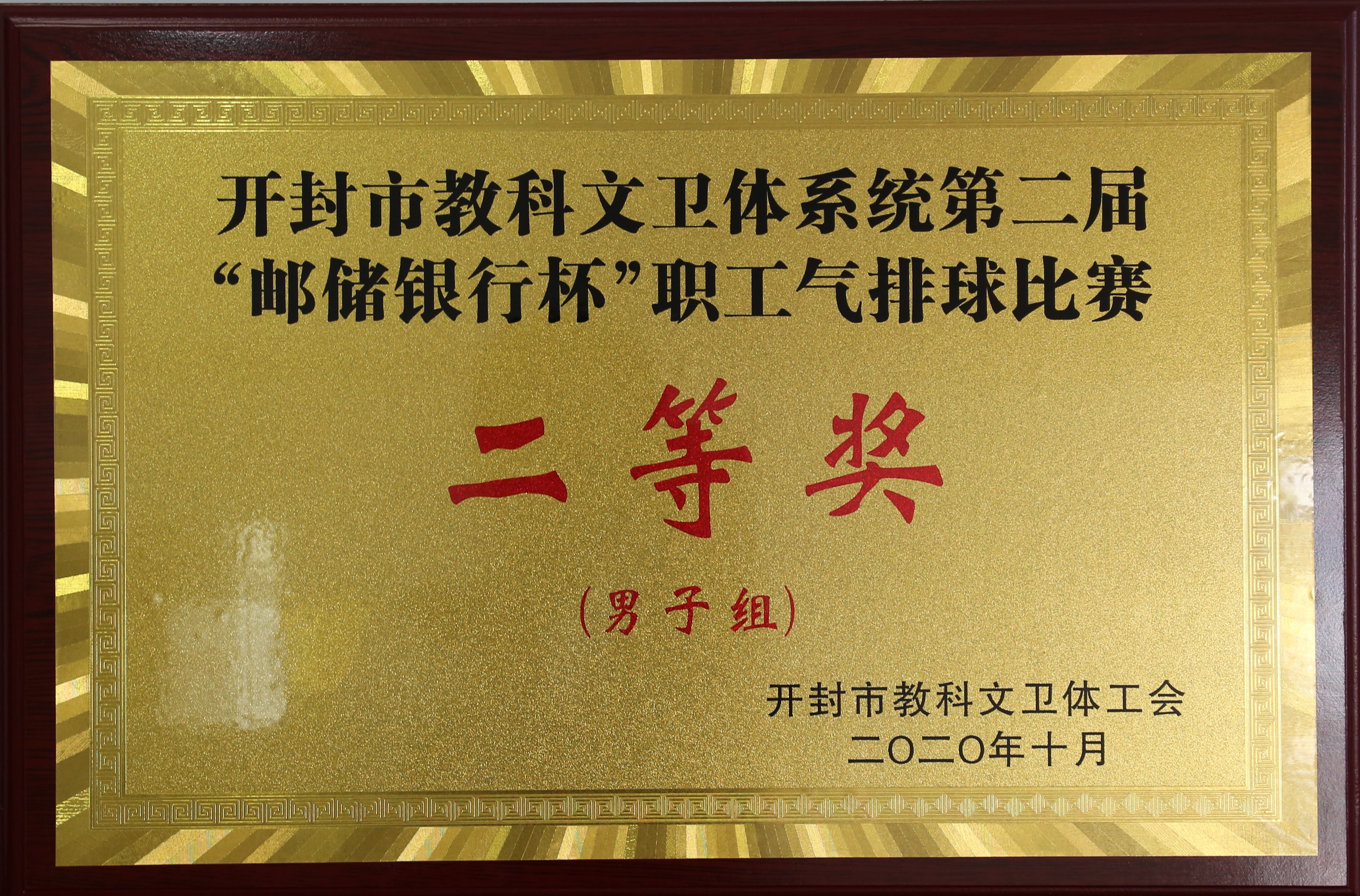 冰岛队喜获好成绩，勇夺奖牌