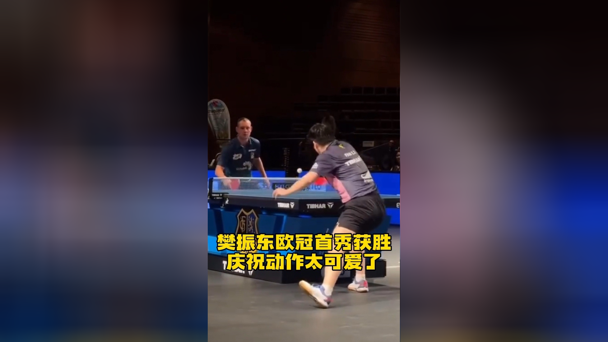 英国乒乓球队横扫波兰乒乓球队,樊振东高光表现的简单介绍 英国乒乓球队横扫波兰乒乓球队,樊振东高光表现的简单介绍